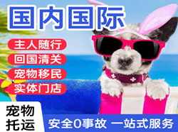 百色机场快递国际宠物托运 【国
